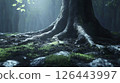 Tree roots and moss, realistic, cinematic light, sharp focus. 126443997