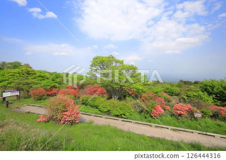 八幡杜鵑花社區 / 栃木縣那須町那須高原 126444316