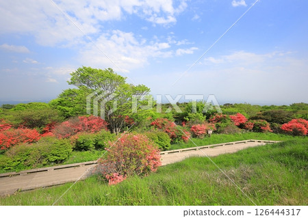 八幡杜鵑花社區 / 栃木縣那須町那須高原 126444317