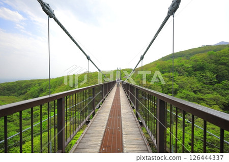 杜鵑花吊橋/栃木縣那鬚町那須高原 126444337