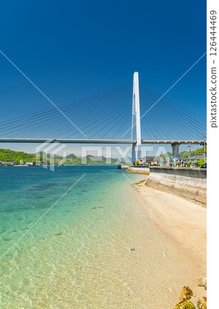 <廣島縣>生口大橋和因島的海岸風景 <廣島縣>生口大橋和因島的海岸風景 126444469