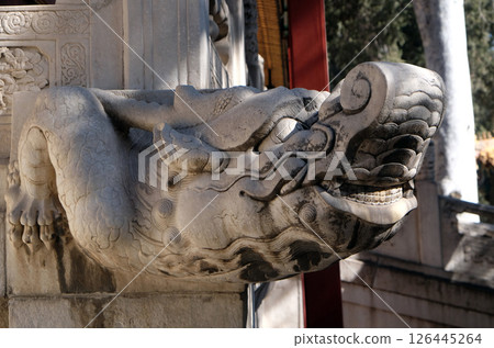 A stone Chinese dragon's head on a wall in Forbidden City, Beijing 126445264