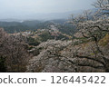 Cherry blossoms of Mount Yoshino as seen from Mount Yoshino Kamisenbon 126445422