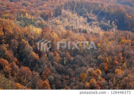 Aerial view of autumn forest in Vukomericke Gorice, Croatia Aerial view of autumn forest in Vukomericke Gorice, Croatia 126446373
