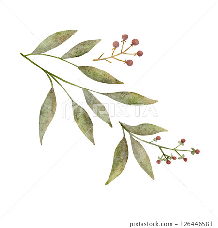 Watercolor illustration green leaves, grass, forest branch red berries. Summer image hand-drawn isolated on white background in vintage style for design of postcards, clothes, holiday, invitations 126446581