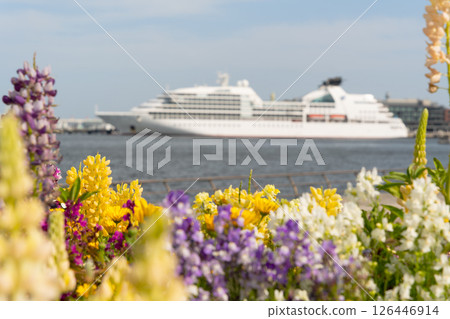 Yokohama Port view: Colorful flower fields and moored cruise ships Yokohama Port view: Colorful flower fields and moored cruise ships 126446914