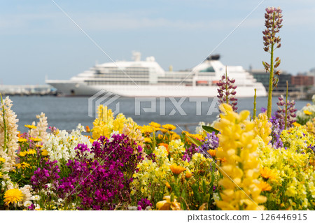 Yokohama Port view: Colorful flower fields and moored cruise ships Yokohama Port view: Colorful flower fields and moored cruise ships 126446915