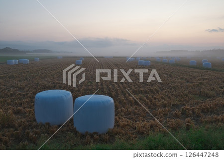 Misty early morning countryside and rolls of hay (Izumo City) 126447248