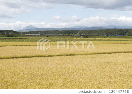 [ARCHIVE] Sleeper Express Twilight Express Twilight Express 126447758