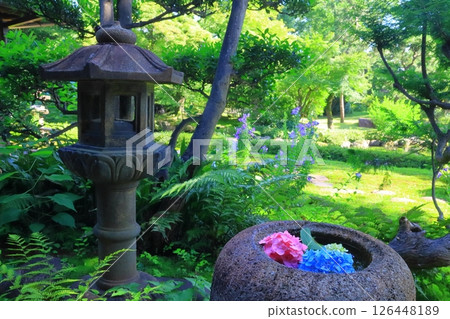 A garden filled with fresh greenery as seen from the former Mitsui family Shimogamo villa (Sakyo Ward, Kyoto City) 126448189