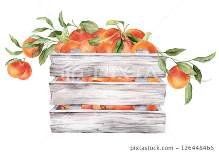 Wooden crate with fresh grapefruit. Farmer's market, healthy eating or tropical fruits theme with Citrus branches. Hand drawn watercolor illustration isolated on white background. 126448466