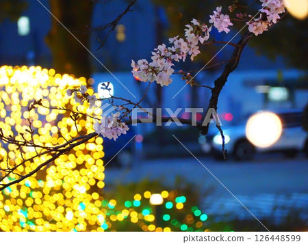 鮮花和燈飾 鮮花和燈飾 126448599