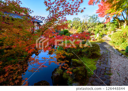 永青院的秋葉 永青院的秋葉 126448844