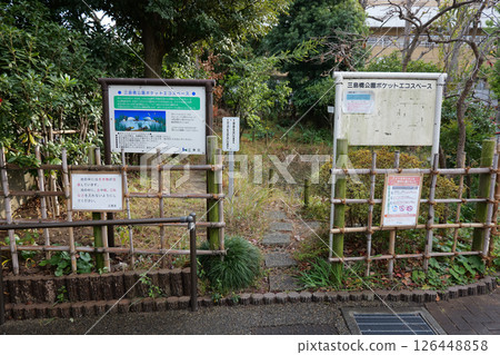 袖珍生態空間生物群落 126448858