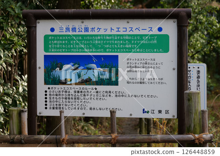 袖珍生態空間生物群落 126448859