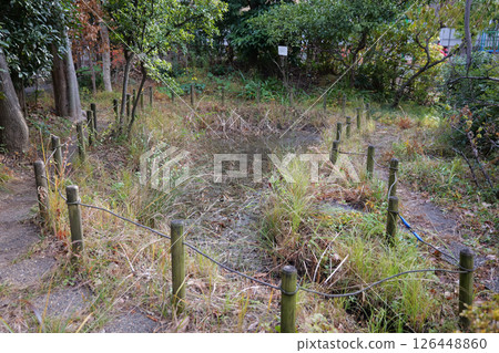 袖珍生態空間生物群落 126448860