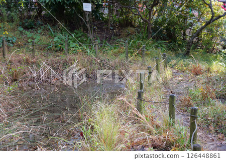 袖珍生態空間生物群落 126448861