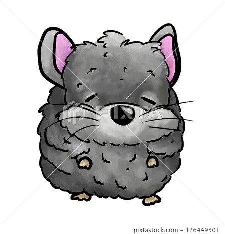 Chinchilla cartoon isolated illustration, sleepy chinchilla animal Chinchilla cartoon isolated illustration, sleepy chinchilla animal 126449301