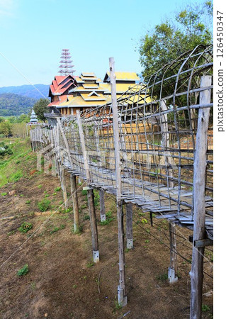 Sutong Phe temple, Mae Hong Son, Thailand 126450347