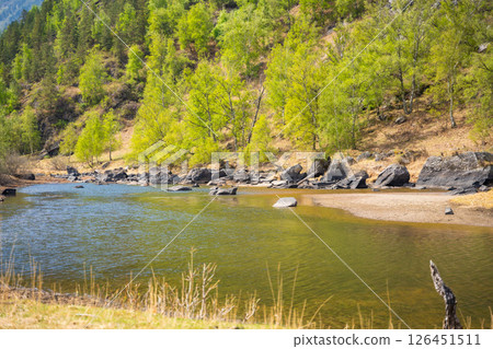 Chulyshman river flowing near Kyrsai bay at southern end of Teletskoye lake in Altai Russia Mountain watercourse in remote natural valley 126451511