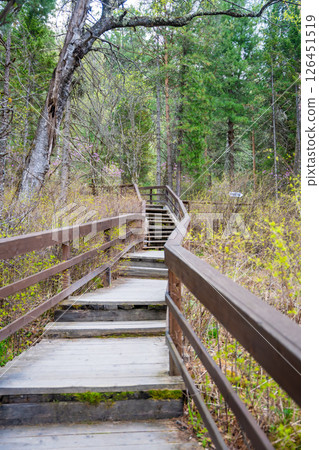 Wooden path with steps and handrails leading through forest to Korbu waterfall in Altai Russia. Scenic trail in wild nature near Teletskoye lake 126451519