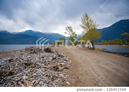 Storm washed branches and sticks on shore of Teletskoye lake in Altai Russia Natural debris for firewood and water purification Storm washed branches and sticks on shore of Teletskoye lake in Altai Russia Natural debris for firewood and water purification 126451549