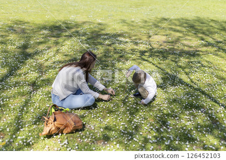 Mother and son picking flowers in a field of daisies on a sunny spring day Mother and son picking flowers in a field of daisies on a sunny spring day 126452103