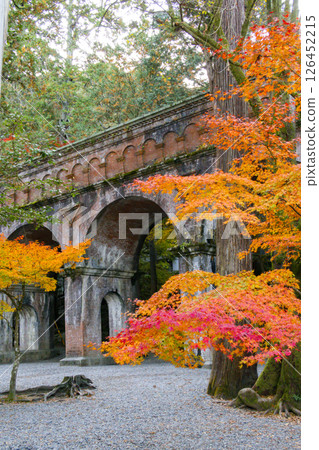 Nanzenji Temple, Autumn leaves, Kyoto Nanzenji Temple, Autumn leaves, Kyoto 126452215