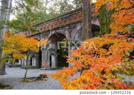 Nanzenji Temple, Autumn leaves, Kyoto Nanzenji Temple, Autumn leaves, Kyoto 126452216