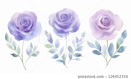 藍玫瑰花卉插圖 126452358