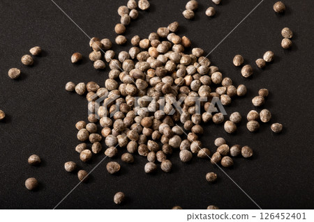 [Vegetable seeds] Green shiso 126452401