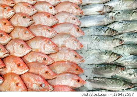 various raw fresh fish on ice various raw fresh fish on ice 126452597