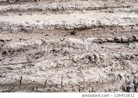 dirt on road and tracks from car wheels dirt on road and tracks from car wheels 126452612