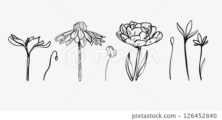 Vector illustration of isolated flowers and leaves Vector illustration of isolated flowers and leaves 126452840