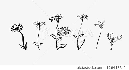 Black and white vector flowers and leaves. Black and white vector flowers and leaves. 126452841