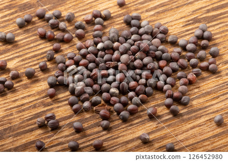 [Vegetable seeds] Komatsuna 126452980