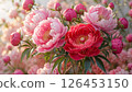 Blooming garden pink red peonies flowers floral vibrant picture 126453150