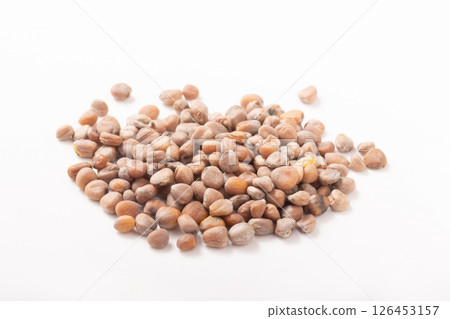 [蔬菜種子] 紅圓蘿蔔 126453157