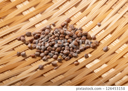 [蔬菜種子] 紅圓蘿蔔 126453158