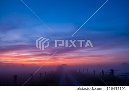 Serene Dawn A Mystical Foggy Pathway Beneath a Colorful Sky, Essential for Nature Lovers Serene Dawn A Mystical Foggy Pathway Beneath a Colorful Sky, Essential for Nature Lovers 126453191