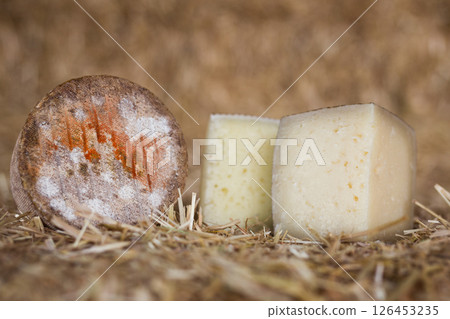 Head and chunks of aged hard cheese in hayloft Head and chunks of aged hard cheese in hayloft 126453235