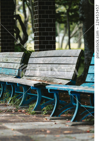 公園裡的長凳 公園裡的長凳 126453457