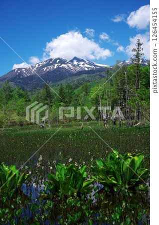 初夏的乘鞍高原：從一之瀨庭園的泥鰍池眺望乘鞍岳 126454155