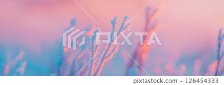 Frozen fog creates ethereal shapes against a soft, pastel-lit background. 126454333