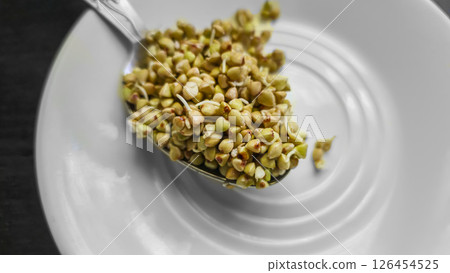 Microgreens. Green sprouted buckwheat. Two-week buckwheat sprouts. Vegan Microgreens. Green sprouted buckwheat. Two-week buckwheat sprouts. Vegan 126454525