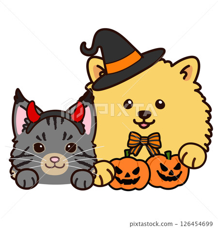 Maine Coon and Pomeranian in Halloween costumes 126454699