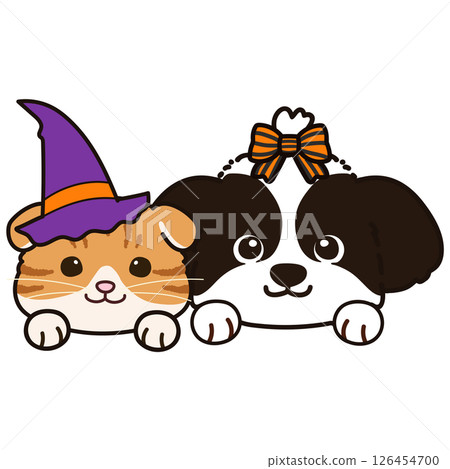 西施犬和蘇格蘭折耳犬盛裝參加萬聖節 126454700