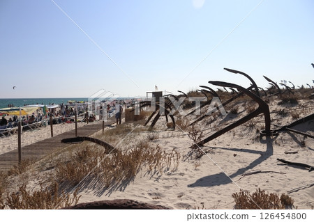 Anchor Cemetery at Praia do Barril, Tavira, Portugal 126454800