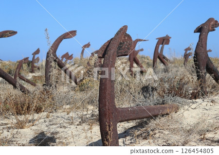 Anchor Cemetery at Praia do Barril, Tavira, Portugal 126454805