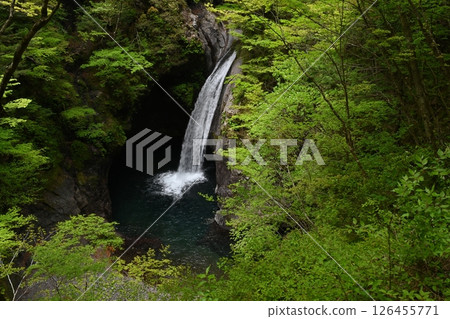 Okama Falls 2 (Nakacho, Naka District, Tokushima Prefecture) 126455771